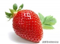 原创             一颗被咬过半截的“草莓”卖出20万，放大10倍后看：这确实值啊