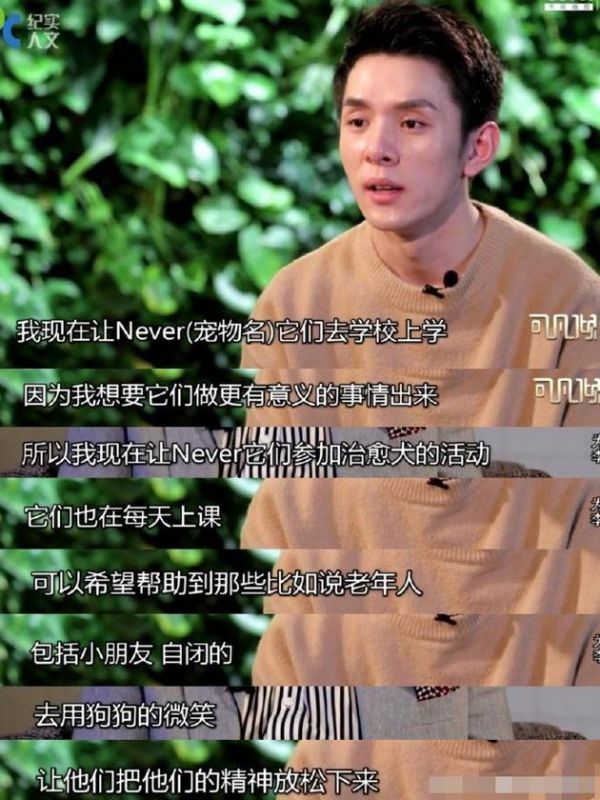李佳琦送never做治愈犬