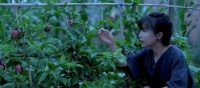 李子柒院子真容曝光,关掉10级滤镜后,幻想仙境被打回现实