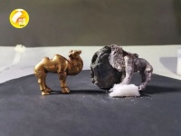 秦始皇陵园出土国内所见最早单体金、银骆驼