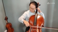 郎朗王健吕思清等46位中国音乐家“云合奏”《红旗颂》