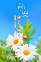 有些路,只能一个人走;早安!