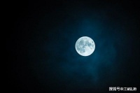 原创 小铜钱的故事:慧能大师的单手指月