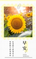 人生苦短,不必计较太多;早安!