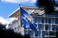 病毒起源得到世卫证实!西方无法再索赔,特朗普阴谋终究没有得逞