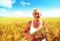 混淆的天堂地狱