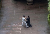 太极拳“其根在脚,由脚而腿而腰,总须完整一气……”