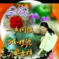 风景错过了,可以再看;感情失去了,不可能重来,早安
