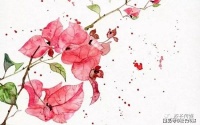 原创 已是黄昏独自愁,不必怨秋风