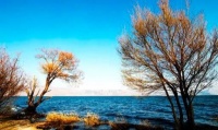 原创 看清一个人又何必去揭穿,讨厌一个人又何必去翻脸