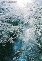 落花时节又逢君
