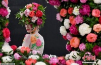 百年多来首次!英国切尔西花展将在线上展出