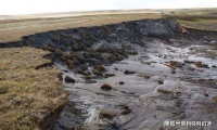 西伯利亚万年冻土融化，发现14300年前生物，专家：人类该清醒了！
