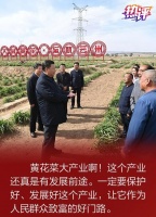 热评丨“遍地黄花是金针”，带给我们怎样的思考？