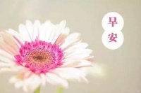 早安心语：慢，是一种态度；而快，则是一种情绪