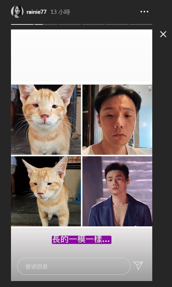 杨丞琳认证李荣浩像单眼皮小猫咪