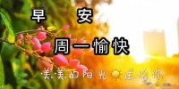 人生不能靠心情活着,而要靠心态去生活。早安