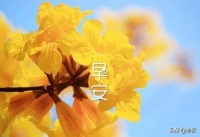 早安心语:以平常心对待人生,人生,将无处不是坦途