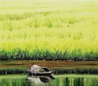 把颜色还给岁月