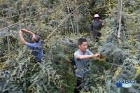 深入脱贫攻坚第一线,用文学记录群英谱书写中国乡村蝶变