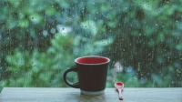 淋雨的人醉了,听雨的人碎了