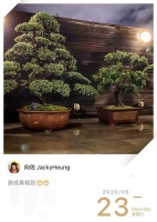 郭碧婷怀孕?向佐绿洲晒照称新成员报道似有深意