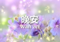 晚安心语:好好去爱,去生活,青春如此短暂,不要叹老