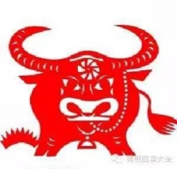 牛的剪纸图案大全