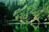 第五届“芙蓉杯”全国文学大赛入围诗歌作品—《一个诗人的春夏秋冬(组诗)》