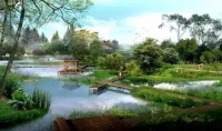 如果能够让你了解藏品真伪,确定价值,还能免费拍卖,你会怎么选择