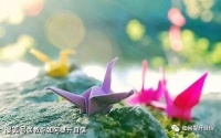 值得您一生学习的10个道理