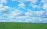 【云天社@“夏之约”同题】夏天,别忘了我们的约定 文/鲁群(安徽)