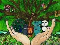 征集活动 ▏寻找城市守望者—城市生物多样性征集活动开始啦