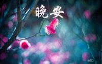 晚安心语:行动在哪里,收获就在哪