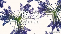 晚安心语:成功不是凭梦想和希望,而是凭努力和实践