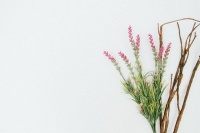 一个人灵魂的高级感,一定包含着自律、安静与孤独