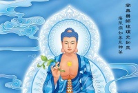 人间的植物从何而来?谁打造了植物灵魂的原型?