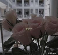 现实中的爱情,现实中的你