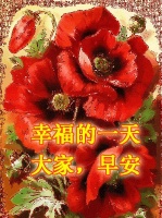 6张非常漂亮的早上好图片动态表情,早安问候祝福语短信