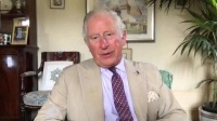 查尔斯王储病愈后反思疫情:人类正为丧失生物多样性付出代价