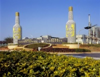 中国高粱酒哪家强,金门、江小白有话讲