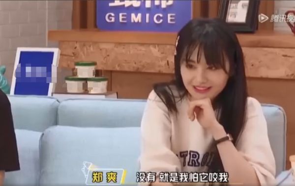 郑爽带爱犬去宠物店磨牙