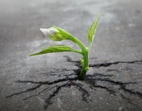 “无我”究竟是一种怎样的状态?