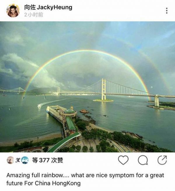 向佐绿洲更新