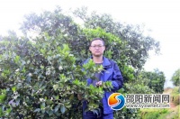 新宁唐海涛:从纸上到网上 “画”出电商新事业