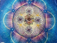 花谕塔罗:2020年七月上半月水瓶座运势占卜,等待时机,寻找童真