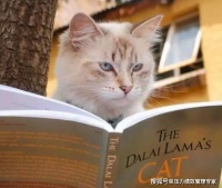 人最大的修养,是知人不评人
