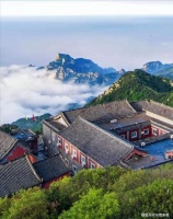 聊世态,浊酒清茶当下