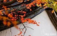人这一辈子,无辈图个快活,不愧于心便知足了!