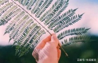 人这辈子只有三天:回不去的昨天,忙不完的今天,想不到的明天